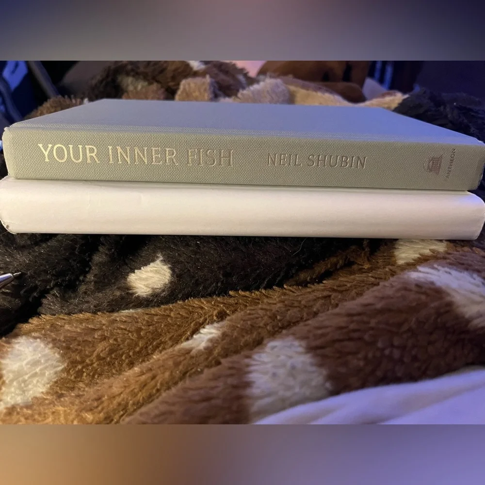 Your Inner Fish - Picture 6 of 6